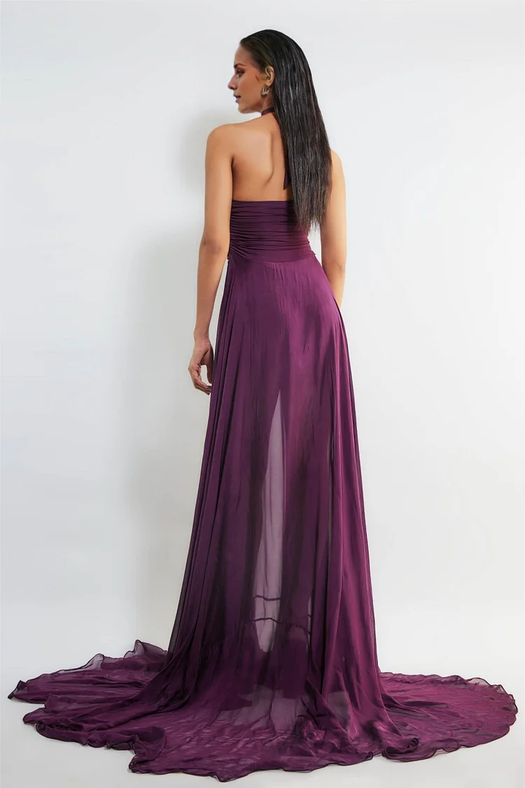 Mulberry Chiffon A-Line Floor-Length Evening Dress with Ruched Halter Neck and Open Back