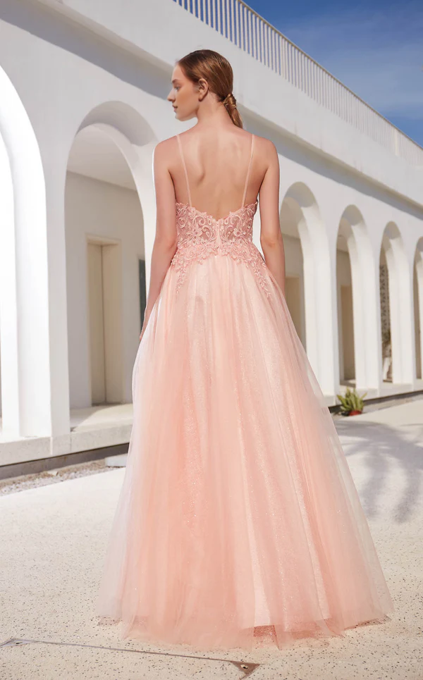 A-line V-neckline sleeveless tight fitting corset with sheer side slits and floor length gowns evening dresses