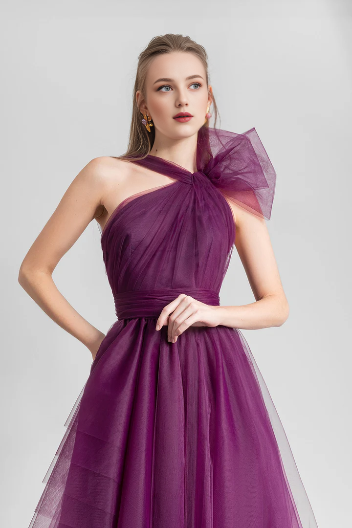 Mulberry Tulle A-Line Asymmetrical Halter Neckline Evening Dress with Bow and Multi-layered Skirt