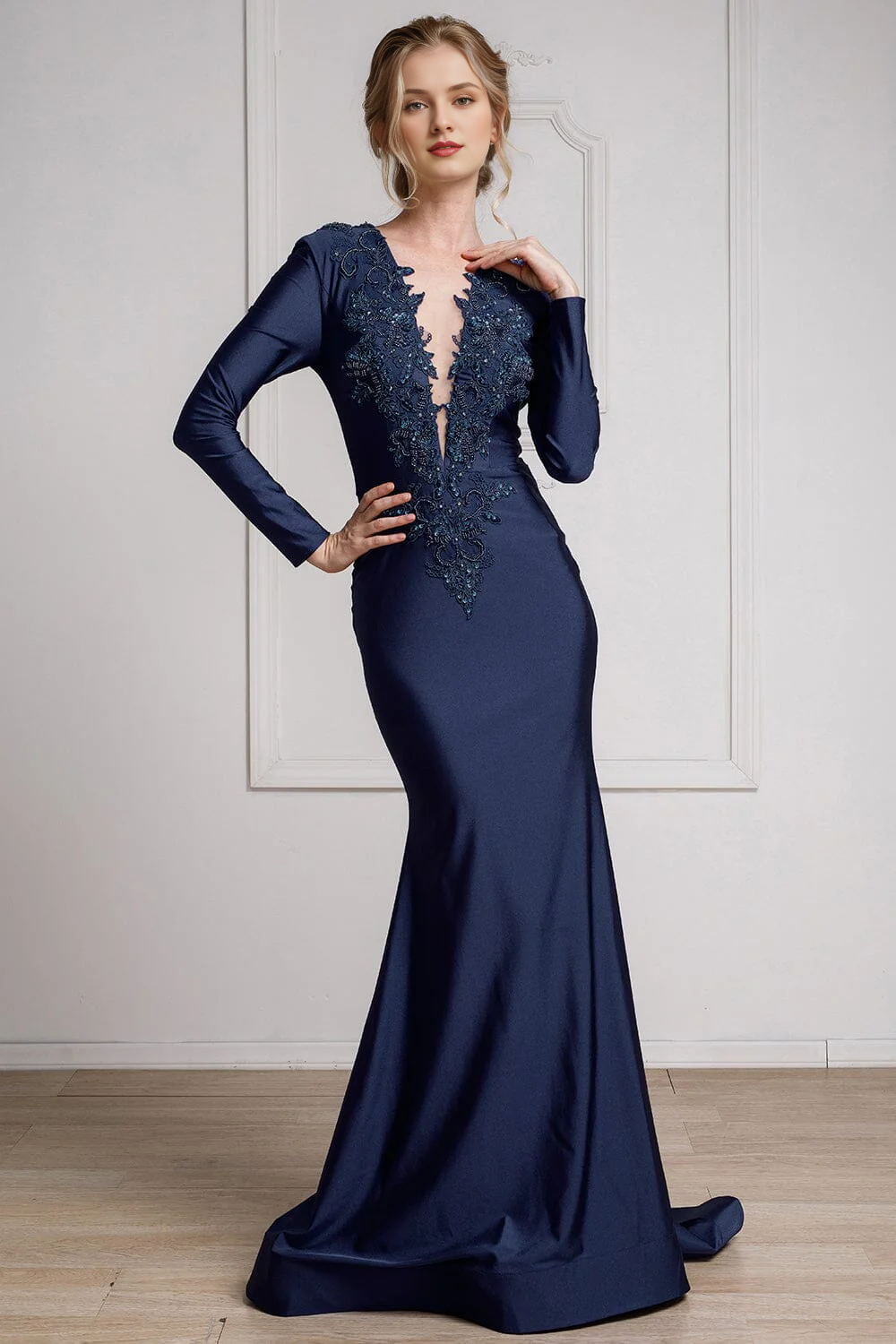 Embroidered applique long sleeved transparent V-neck dress