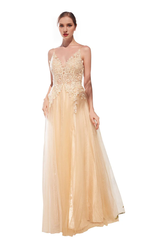 Blushing Pink Lace Tulle A-Line Floor-Length V-Neck Bridesmaid Dress