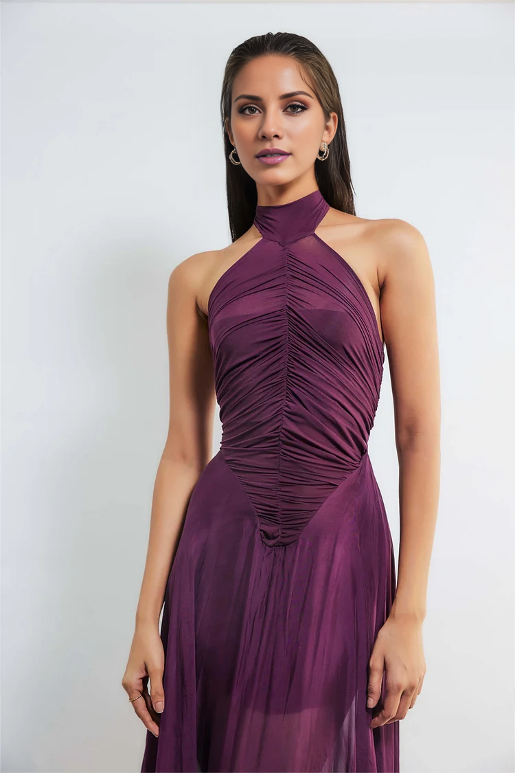 Mulberry Chiffon A-Line Floor-Length Evening Dress with Ruched Halter Neck and Open Back