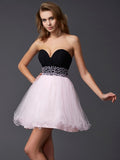 Black and Blushing Pink Chiffon A-Line Short Sweetheart Beaded Waist Dress