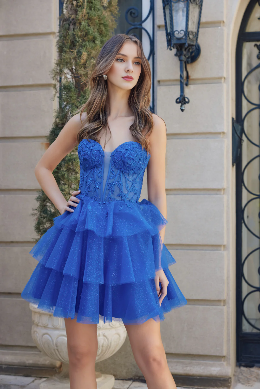 Embroidered applique short strapless tight corset dress