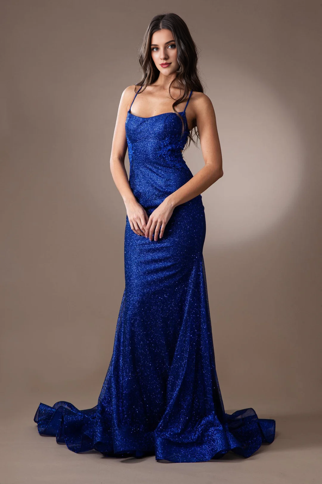 Embroidered applique long sleeveless metal sequin dress