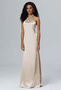 Champagne Satin A-Line Floor-Length Dress with Halter neckline & Backless | Jimiss