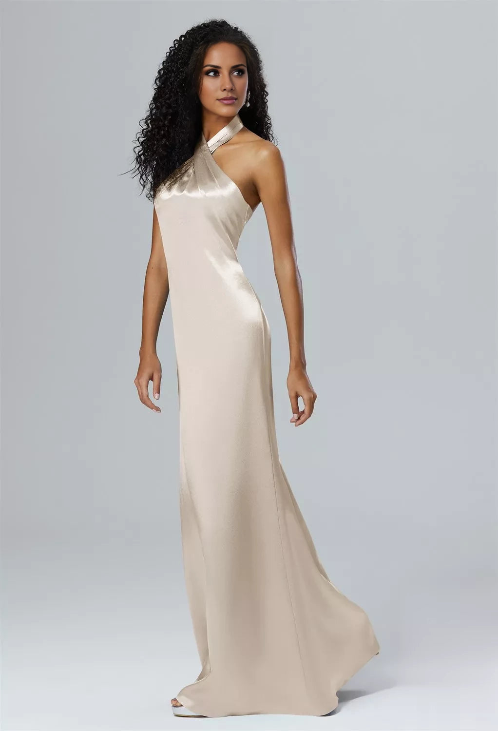 Champagne Satin A-Line Floor-Length Dress with Halter neckline & Backless | Jimiss