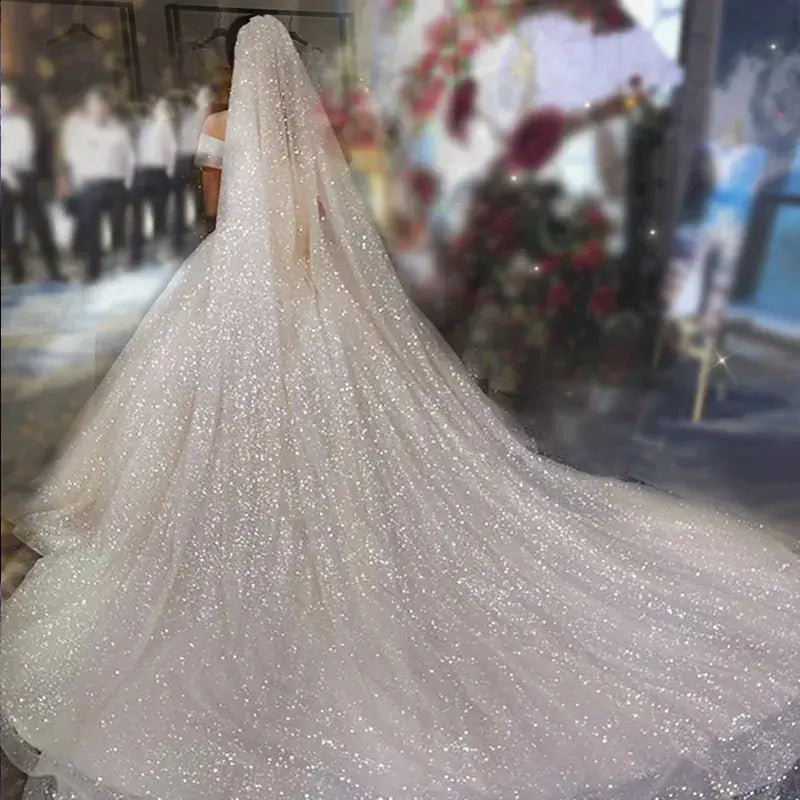Ivory Glitter Fabric Ball Gown Floor-Length Wedding Dress with Long Train