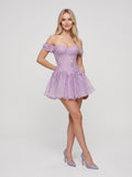 Lilac Tulle and Lace A-Line Sweetheart Zipper Back Mini Dress Front View - Jimiss