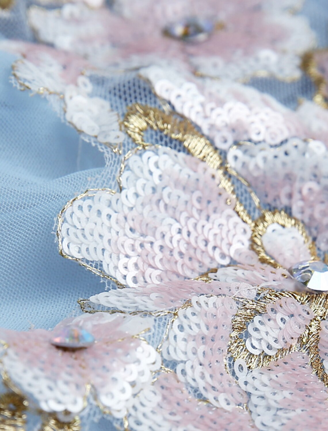 Sky Blue Tulle Ball Gown Floor-Length Dress with Illusion Neck & Floral Embroidery