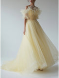 Abito da sera a trapezio, elegante, formale, con strascico a ruota, manica corta, scollo a V, in chiffon con pieghe e volant
