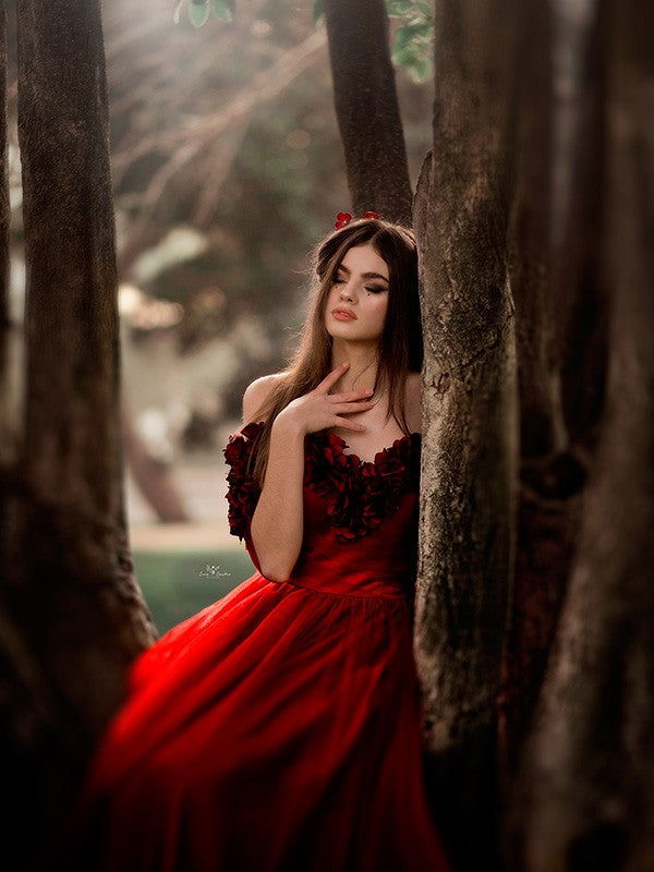 Red Off-the-Shoulder Tulle A-Line Floor-Length Evening Dress