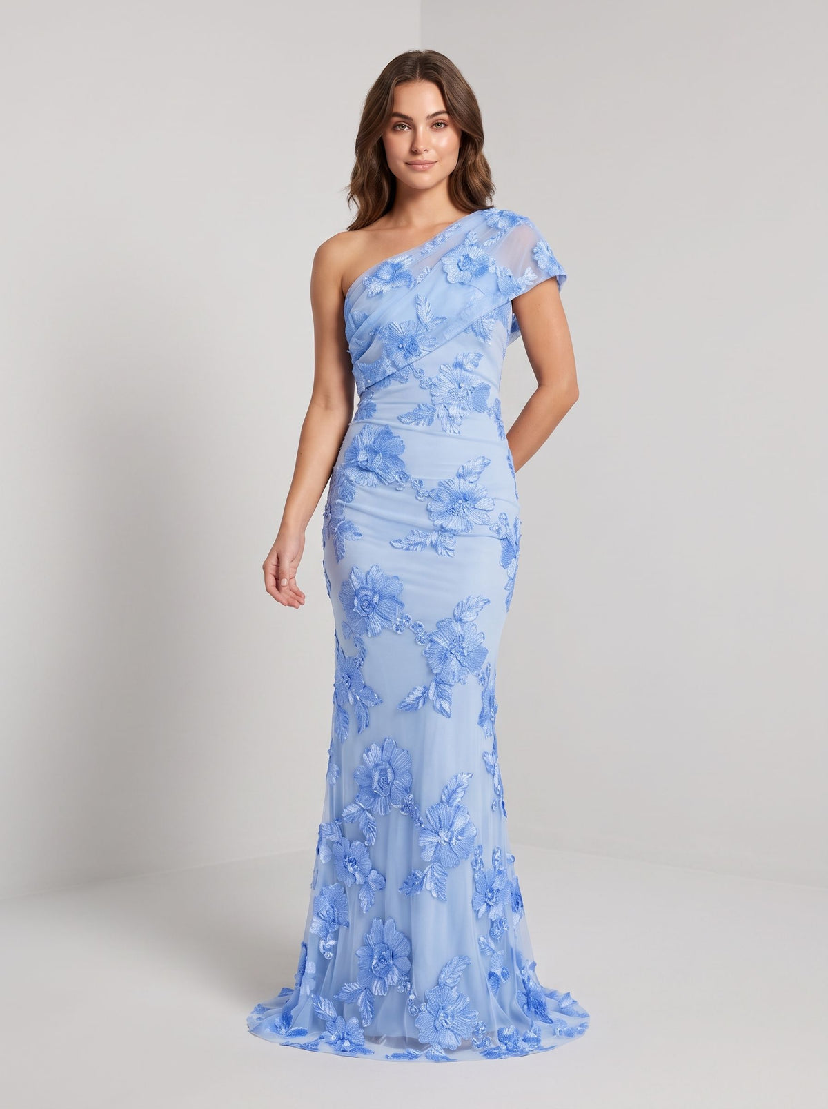 Sky Blue Mesh with 3D Floral Lace mermaid one-shoulder floor-length Dress Front View - Jimiss