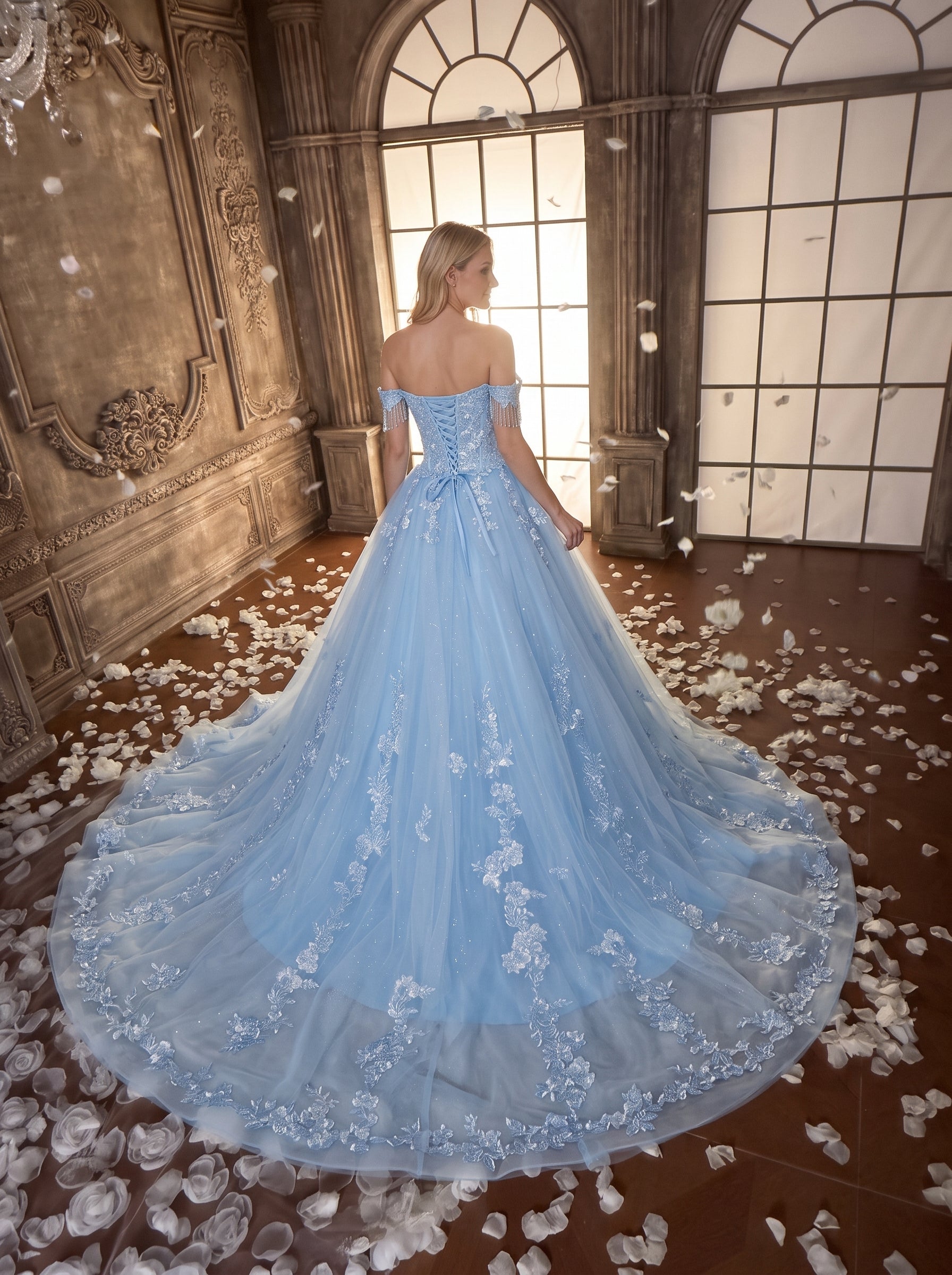 Sky Blue Tulle and Lace A-line Off-the-shoulder Floor-length Dress Back View - Jimiss