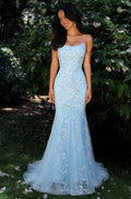 Sky Blue Tulle Mermaid Scoop Neck Low Back Floor Length Dress Front View - Jimiss