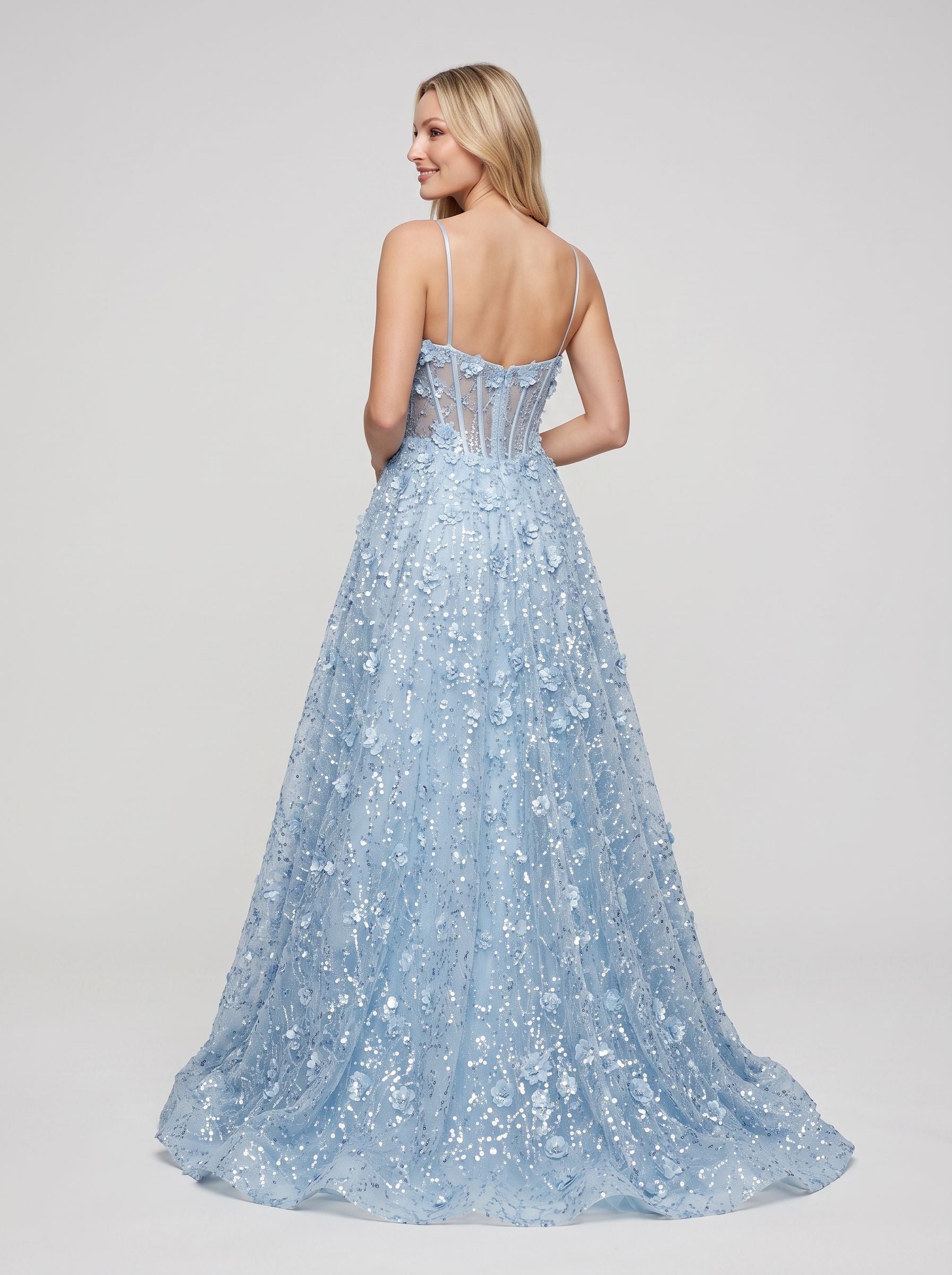 Sky Blue Tulle & Sequins A-Line Sweetheart Zipper Back Floor-Length Dress Back View - Jimiss