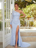 Stunning Light Blue Tulle Mermaid One Shoulder Long Sleeve Lace Open Back Slit Prom Dress